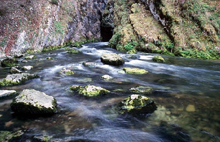 Source du Doubs - Mouthe